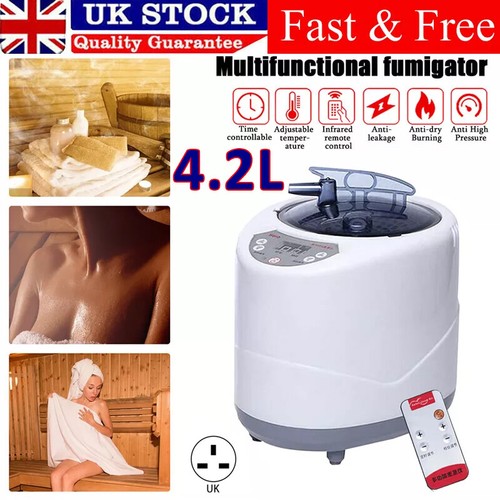 Gear portable steamer - portable,